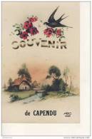 Capendu Souvenir De Cpa Bon Etat - Capendu