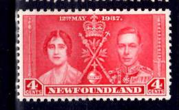 Newfoundland 1937 4 Cent Coronation Issue #231 - 1908-1947