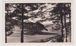 (RECTO / VERSO) LE CHAMBON SUR LIGNON - VUE GENERALE VU DE LA MAISON FORESTIERE - Le Chambon-sur-Lignon