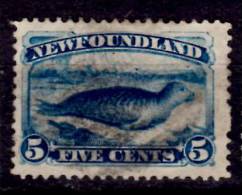 Newfoundland 1887 5 Cent Harp Seal Issue #54 - 1865-1902