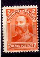 Newfoundland 1898 2 Cent King Edward VIII Issue #81 - 1865-1902