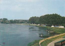 49 - CHALONNES - La Loire, Le Camping Et La Plage - Chalonnes Sur Loire