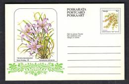 130019 / VENDA - 1984 - FLOWERS -  XEROPHYTA RETINERVIS -  Stationery Entier Ganzsachen  MINT - Venda