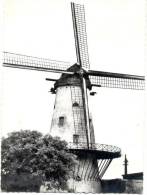 DEERLIJK-DE MOLEN-WINDMOLEN-NIET VERZONDEN-UITG.DONCKELS-LECOT-DEERLIJK - Deerlijk