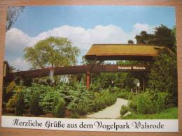 Vogelpark Walsrode - Walsrode