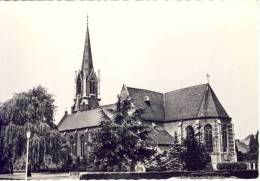 Schoten Kerk St. Cordula - Schoten