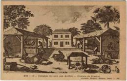 Comptoir Français Aux Antilles Gravure De L'époque - Sonstige & Ohne Zuordnung