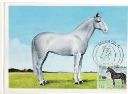 Monaco / Maximum Cards / Animals / Horses - Maximum Cards