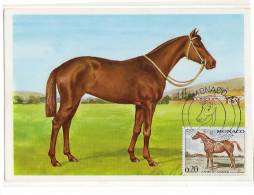 Monaco / Maximum Cards / Animals / Horses - Cartes-Maximum (CM)