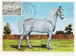 Monaco / Maximum Cards / Animals / Horses - Cartoline Maximum