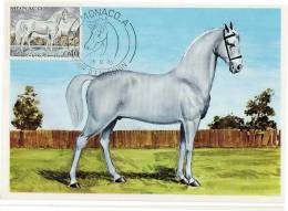 Monaco / Maximum Cards / Animals / Horses - Maximumkarten (MC)