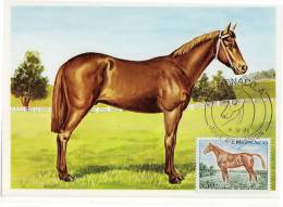 Monaco / Maximum Cards / Animals / Horses - Cartes-Maximum (CM)