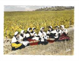 89 CHABLIS - Le Regain Groupe Folklorique Du Caveau Chablisien Les "quatr´heures" N°10 ARTAUD Femmes Raisin Vigne 1964 - Chablis