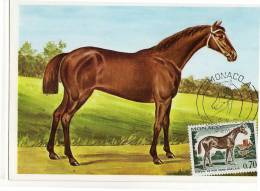 Monaco / Maximum Cards / Animals / Horses - Cartoline Maximum