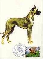 Monaco / Maximum Cards / Animals / Dogs - Maximum Cards