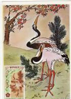 Monaco / Maximum Cards / Animals / Birds - Cartoline Maximum