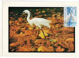 Monaco / Maximum Cards / Animals / Birds / Herons - Maximum Cards