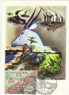 Monaco / Maximum Cards / Animals / Protection Of Nature - Cartes-Maximum (CM)