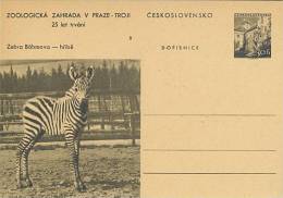 CESKOSLOVENSKO : Not-travelled Postal Stationery : FAUNA,WILD ANIMALS,ZEBRA, - Gibier