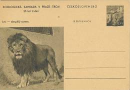 CESKOSLOVENSKO : Not-travelled Postal Stationery : FAUNA,WILD ANIMALS,LEEUW,LION, - Animalez De Caza