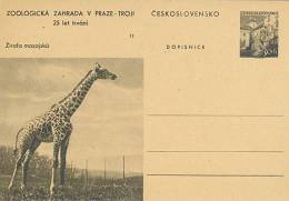 CESKOSLOVENSKO : Not-travelled Postal Stationery : FAUNA,WILD ANIMALS,GIRAFFE, - Giraffen