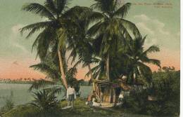 50 On The Road To Blue Hole Port Antonio A. Duperly P. Used Buff Bay To Las Palmas 1908 - Jamaïque