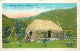 : Réf : S-12- 106  :  Hawaiian Grass Hut Honolulu T.h. - Honolulu