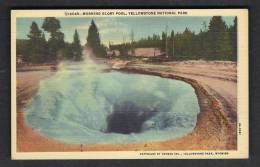 130129 / MORNING GLORY POOL  , YELLOWSTONE NATIONAL PARK -  United States Etats-Unis USA - Parques Nacionales USA