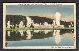 130130 / GEYSER HILL , UPPER GEYSER BASIN  , YELLOWSTONE NATIONAL PARK -  United States Etats-Unis USA - USA Nationale Parken