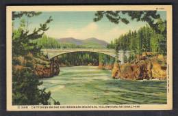 130133 /  CHITTENDEN BRIDGE AND WASHBURN MOUNTAIN , YELLOWSTONE NATIONAL PARK -  United States Etats-Unis USA - Parques Nacionales USA