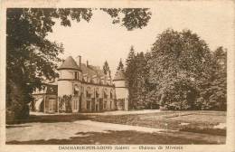 DAMMARIE SUR LOING CHATEAU DE MIVOISIN - Other & Unclassified