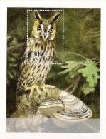 TANZANIE Oiseaux, Chouette (Yvert BF 465). Neuf Sans Charniere. MNH - Arends & Roofvogels