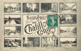 SOUVENIR DE CHATILLON COLOGNY CARTE MULTIVUES - Chatillon Coligny