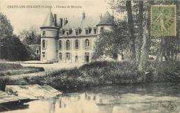 CHATILLON COLOGNY  CHATEAU DE MIVOISIN - Chatillon Coligny