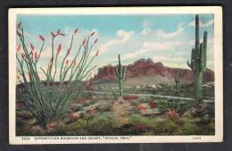 130172 / SUPERSTITION MOUNTAIN AND DESERT , APACHE TRAIL  - United States Etats-Unis USA - Sonstige & Ohne Zuordnung