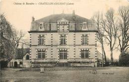 CHATILLON COLIGNY CHATEAU DE BONNIERE - Chatillon Coligny