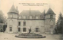 CHATILLON COLIGNY CHATEAU DE MIVOISIN - Chatillon Coligny