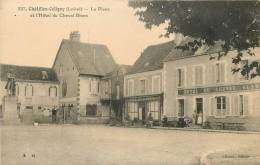 CHATILLON COLIGNY  LA PLACE ET HOTEL DU CHEVAL BLANC - Chatillon Coligny