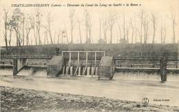 CHATILLON COLIGNY LE DEVERSOIR DU CANAL AU LIEU DIT LA RONCE - Chatillon Coligny