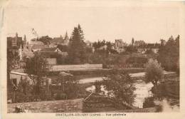 CHATILLON COLIGNY  VUE GENERALE - Chatillon Coligny