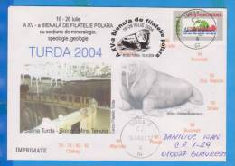 Polar Philately. Walrus, Caving, Geology, Mineralogy Romania Special Cover - Wale