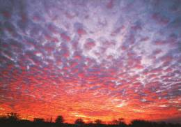 Entier Postal Sur Carte Postale Avec Illustration "Nuages - Altocumulus Stratiformis" - 2001-10