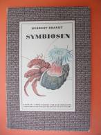 "Symbiosen" Von Herbert Brandt (Kosmos Gesellschaft Der Naturfreunde) Von 1949 - Animales