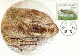 Entier Postal Sur CP De Finlande Avec Illust. "Lézard" Et Au Verso Timbre Oblit. 28/04/204 - Enteros Postales