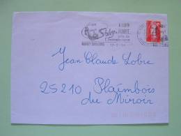 France 1994 Cover To Plainbois - Sisley Cancel / Painting - Lettres & Documents