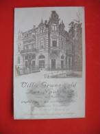 Villa Grunewald Bad Nauheim - Bad Nauheim