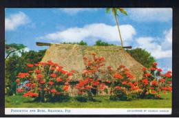 RB 910 - Fiji Postcard - Poinsettia & Bure - Sigatoka - Fiji