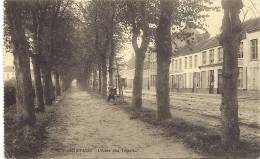 DIXMUDE - Allée Des Tilleurs - Duitse Feldpost 1916 - Diksmuide