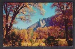 130232 / YOSEMITE NATIONAL PARK , CALIFORNIA , AUTUMN GLORY IN YOSEMITE VALLEY  - United States Etats-Unis USA - USA Nationale Parken