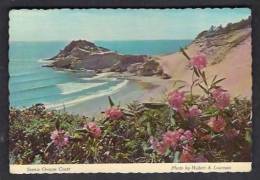 130236 / SCENIE  OREGON COAST By HUBERT LOWMAN - United States Etats-Unis USA - Andere & Zonder Classificatie